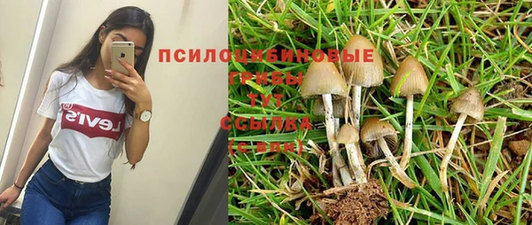таблы Вязники
